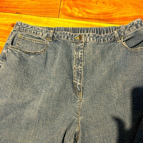 Quacker Factory Women’s Blue Jeans, Size 2X - Picture 2 of 6